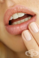 �������� -  ������� ���� �� ����� ������ �������